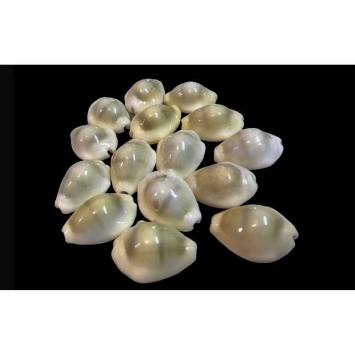 16 Kaudi Juwa